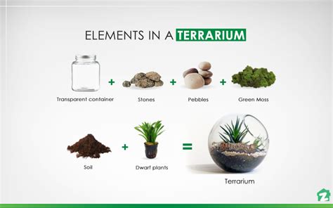 Terrarium Layers Diagram