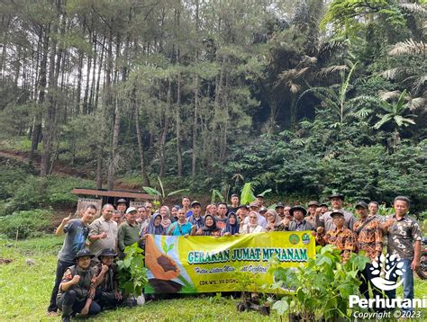 Perhutani Perhutani Ciamis Bersama CDK VII Gelar Gerakan Menanam Di