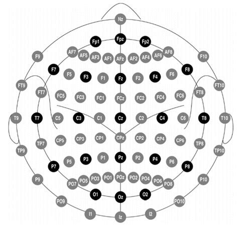 Applied Sciences Free Full Text Electroencephalography Eeg