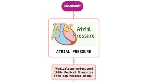 Cardiology Mnemonics Medicalsupernotes