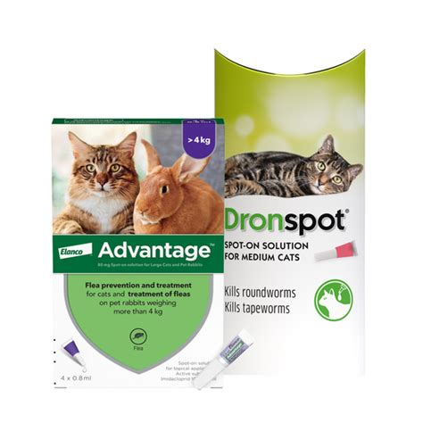 Cats 4kg 5kg 3 Month Advantage Spot On Flea Treatment And Dronspot Spot On Wormer