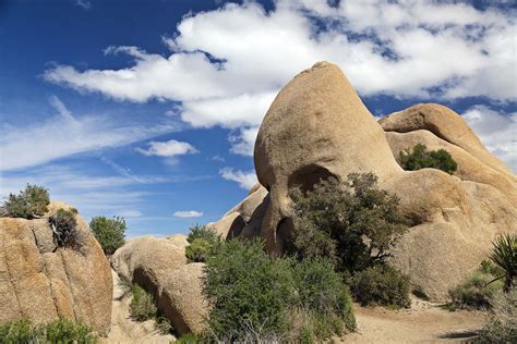 Exploring Joshua Tree National Park