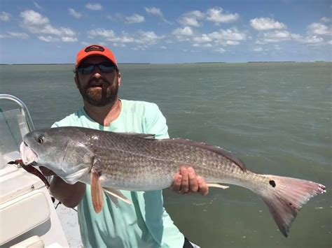 Doa Lures Nice Redfish Caught On Doa Shrimp Rigged On A