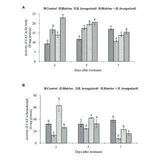 Changes In Catalase CAT Activity Of Spodoptera Litura Following