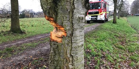 Baum mit der Axt bearbeitet Jetzt ließ Stadt ihn fällen Castrop