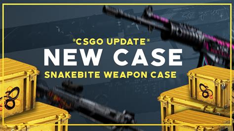 CSGO SNAKEBITE CASE OPENING NEW CSGO CASE NEW UPDATE YouTube