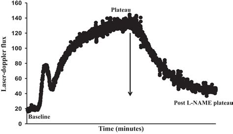 Sex And Limb Specific Differences In The Nitric Oxide Dependent