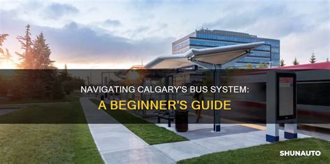 Navigating Calgarys Bus System A Beginners Guide Shunauto