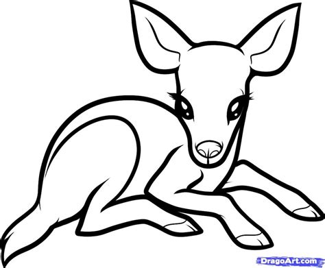 Easy Deer Head Drawing at GetDrawings | Free download