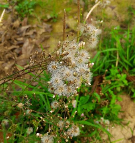 Ignore Sex Life Concept Sad Discomfort Angry Misunderstand Stock Photo Image Of Negative