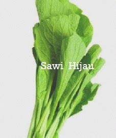 anim agro technology sawi jenis sawi  khasiatnya part