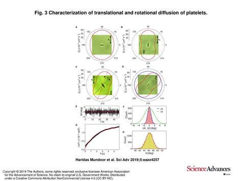 Fig 3 Characterization Of Translational And Rotational Diffusion Of