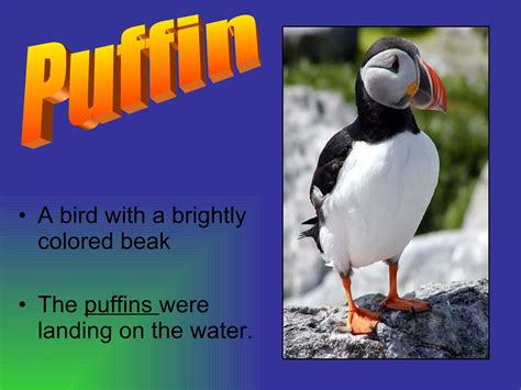 Esl Powerpoint Ppt