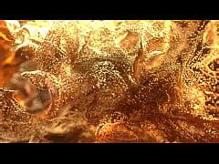 Short Full Anal Scenes Natasha Teen Natalie Fox Ruby Walker Fisting Anal Bbc Xxx Mobile