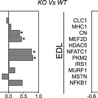 Gene Expression Modification In Soleus Sol And Extensor Digitorum