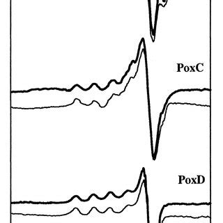 Frozen Solution EPR Spectra At 77 K Of 0 1 MM Solutions Of PoxB PoxC