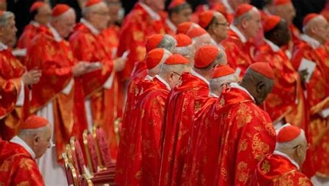 El papa creará 14 nuevos cardenales llegados de España Latinoamérica y