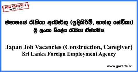 Japan Job Vacancies 2022 - IRO Japan - Sri Lanka Foreign Employment ...