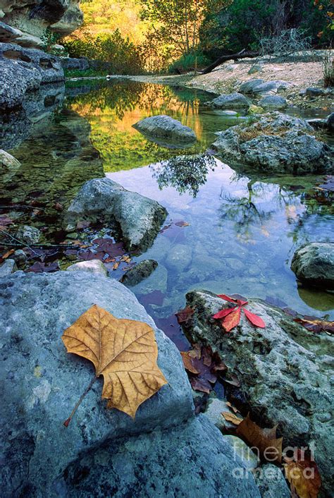 Lost Maples Reflection Photograph By Inge Johnsson Pixels