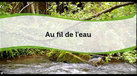 Au Fil De L Eau Youtube