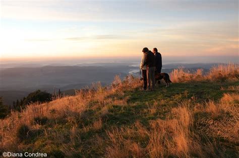 Cozia National Park: A Hiker's Dream Destination in the Carpathians