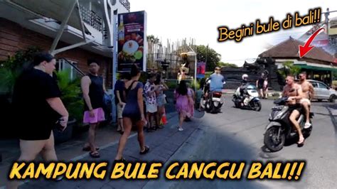 Parahbegini Situasi Kampung Bule Canggu Saat Ini Bali Hari Ini