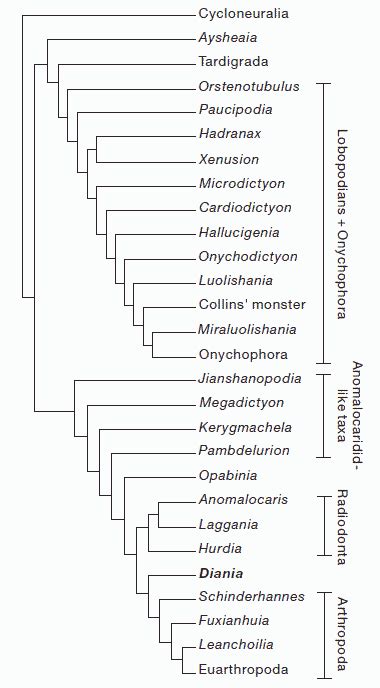 Palaeos Panarthropoda Lobopodia