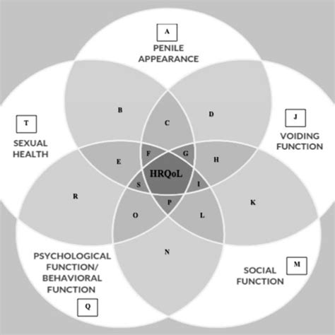 The Hypospadias Specific Health Related Quality Of Life Conceptual