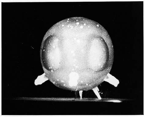 Harold Edgerton Atomic Bomb Explosion The Metropolitan Museum Of Art