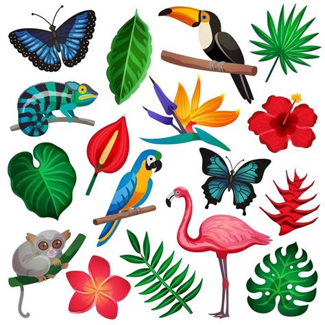 Descargar Conjunto De Flora Y Fauna Tropical Gratis Artofit