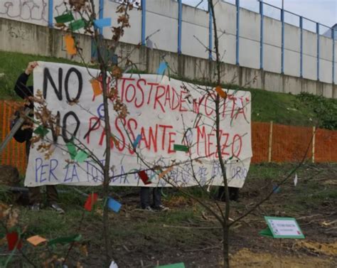 Incursione Nel Cantiere Due Alberi Contro Il Passante Zic It