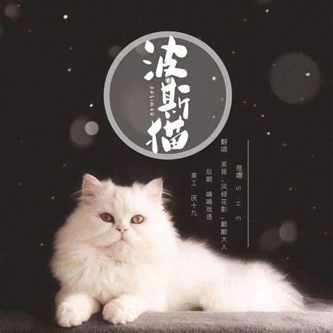 波斯猫歌曲原唱蔡依林波斯猫放波斯猫这首歌大山谷图库