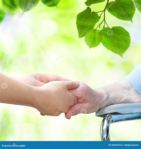 Senior Woman in Wheel Chair Holding Hands with Young Caretaker Stock Photo - Image of chair ...