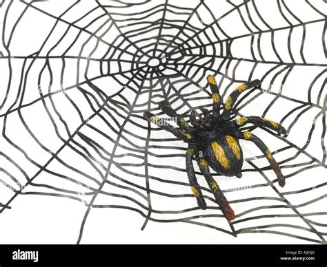 Fake Spider and Web Stock Photo - Alamy