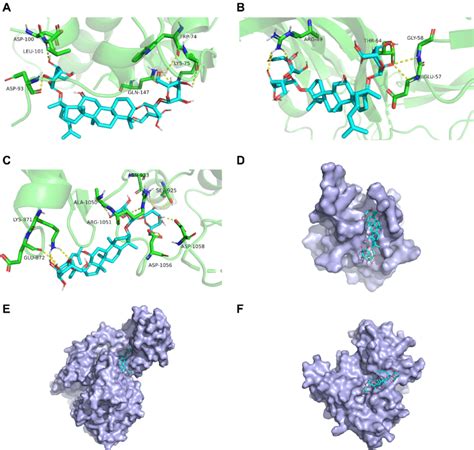 Molecular Docking Patterns Of Grd With Target Proteins Molecular