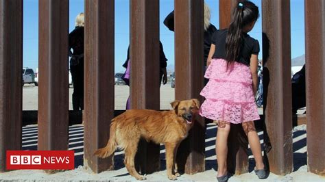 O Muro De Trump Situação Na Fronteira Dos Estados Unidos Com O México