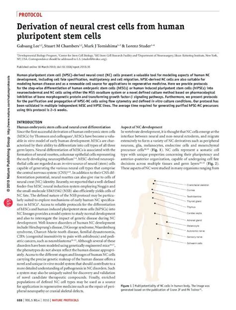 Pdf Derivation Of Neural Crest Cells From Human Pluripotent