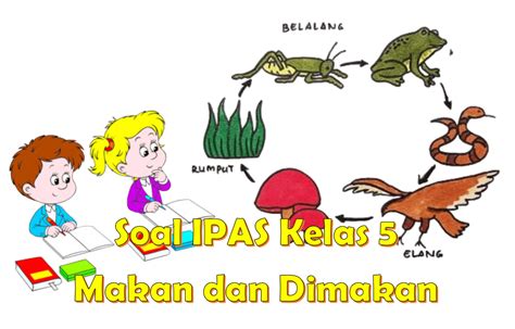 soal ipas kelas  makan  dimakan  jawaban