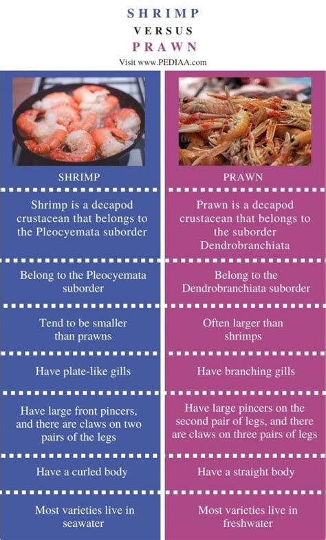 What Is The Difference Between Shrimp And Prawn Pediaacom