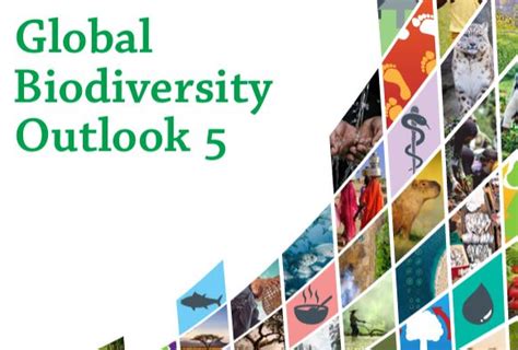 May 2024 Global Biodiversity Framework Task Force