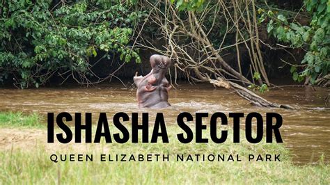 Uganda Queen Elizabeth National Park Ishasha Sector YouTube