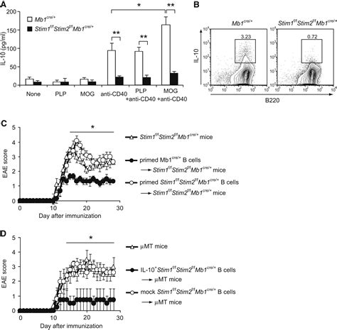 The Calcium Sensors STIM1 And STIM2 Control B Cell Regulatory Function