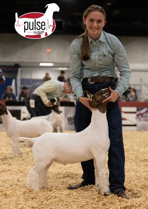 American Boer Goat Junior National Top Market Goats The Pulse