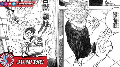 Raw Dan Dialog Lengkap Manga Jujutsu Kaisen Bahasa Indonesia