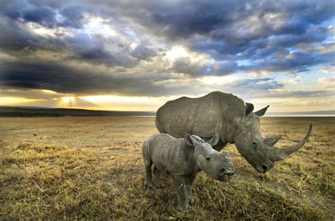 Lake Nakuru National Park Travel Southern Rift Valley Kenya Lonely