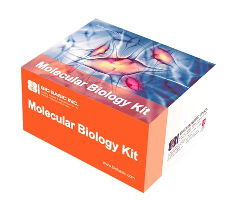 Ez Spin Column Bacterial Genomic Dna Miniprep Kit Nbs Biologicals