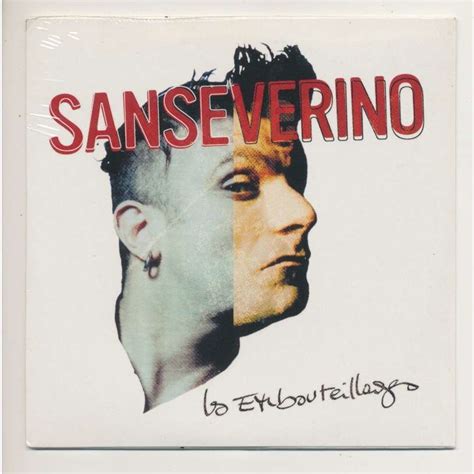 Les Embouteillages Maigrir By Sanseverino Cds With Neil Ref