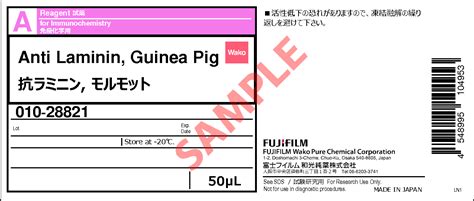 Anti Laminin Guinea Pig Detail Information Life Science