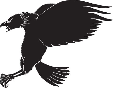 Mb Imagepng Eagle Claw Silhouette 800x625 Png Download