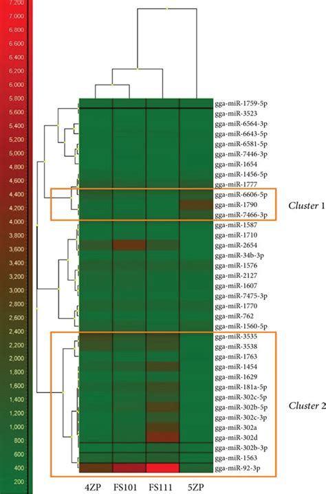 Expression Pattern Of MiRNAs Identified In All Examined Samples By LC